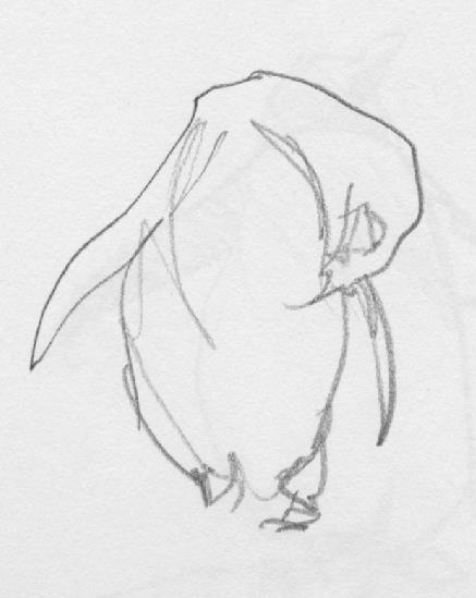Sketching penguins at the Doorly zoo